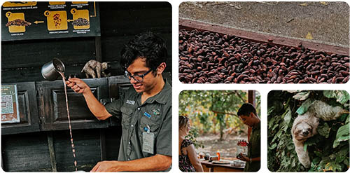 About-us-coffee-tour-la-fortuna About our Coffee & chocolate farm in la fortuna, Costa Rica